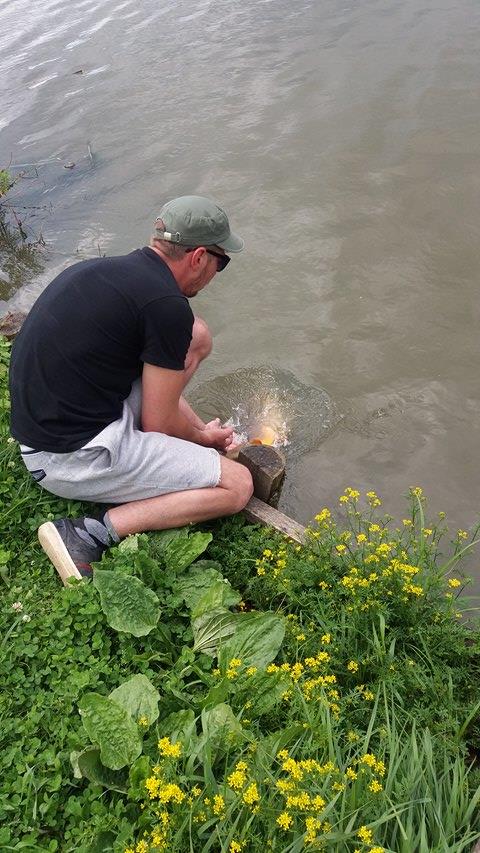 Pestisori - 1883452614815614585748731183975360n.jpg